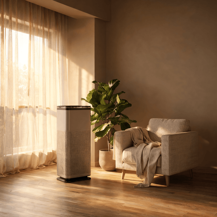 Purificateur d'air dans un salon serein avec plante verte