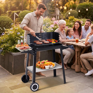 Barbecue Charbon Chariot Pare-Vent Grille Réglable 56x31 cm | Brivor