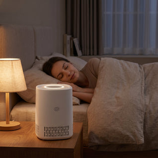 Purificateur d'Air Chambre Filtre HEPA H13 Silencieux WiFi | Ozelya