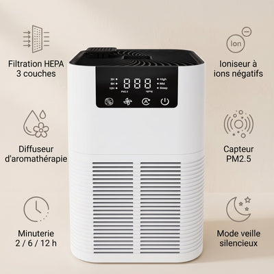 Caracteristiques du purificateur d'air HEPA ioniseur Revalis