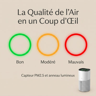 Indicateur de qualite d'air PM2.5 du purificateur Idrane