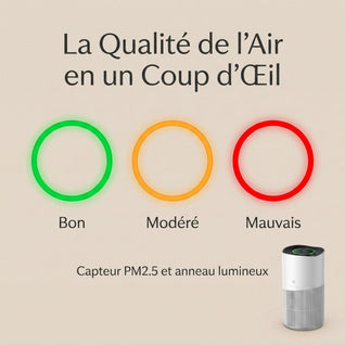 Purificateur d'Air HEPA H13 Grande Surface 120 m2 WiFi | Idrane