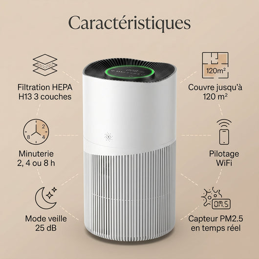 Caracteristiques du purificateur d'air HEPA H13 Idrane