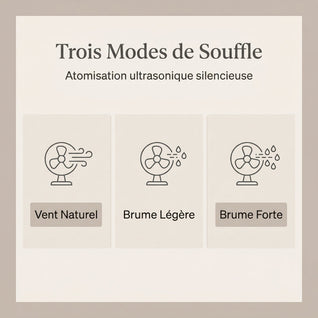 Rafraîchisseur d'Air Double Brumisation Ultrasonique Silencieux | Almeris