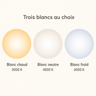 Suspension Blanche, Aile et Globe Opale | Marlovia