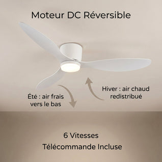 Ventilateur de Plafond avec Lumière DC Réversible 105-132 cm | Sirane