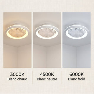 Ventilateur de Plafond avec Lumière LED Fermé 48 cm Télécommande | Aelvys