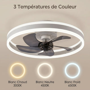 Ventilateur de Plafond avec Lumière LED Intelligent Télécommande | Norvyn
