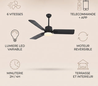Ventilateur de Plafond Extérieur avec Lumière LED Télécommande | Aurelys