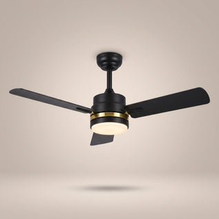 Ventilateur de Plafond Extérieur avec Lumière LED Télécommande | Aurelys