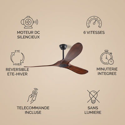 Caractéristiques du ventilateur de plafond Vaeron : moteur DC silencieux, 6 vitesses, réversible, minuterie, télécommande, sans lumière