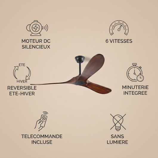 Caractéristiques du ventilateur de plafond Vaeron : moteur DC silencieux, 6 vitesses, réversible, minuterie, télécommande, sans lumière